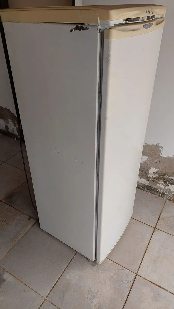 Electrolux 263L (NÃO GELA)