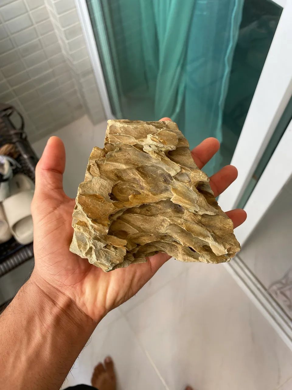 Tronco e rochas - Foto 2