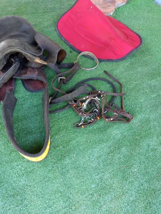 Conjunto de Sela e Freio