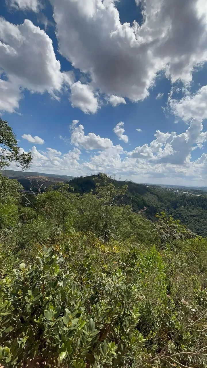 Ds(Terras um investimento que vc não erra - Foto 5