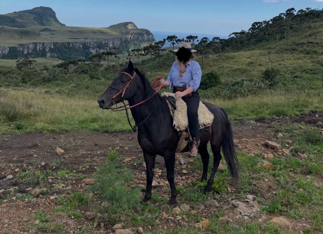 Égua mestiça Quarto de Milha  - Foto 3