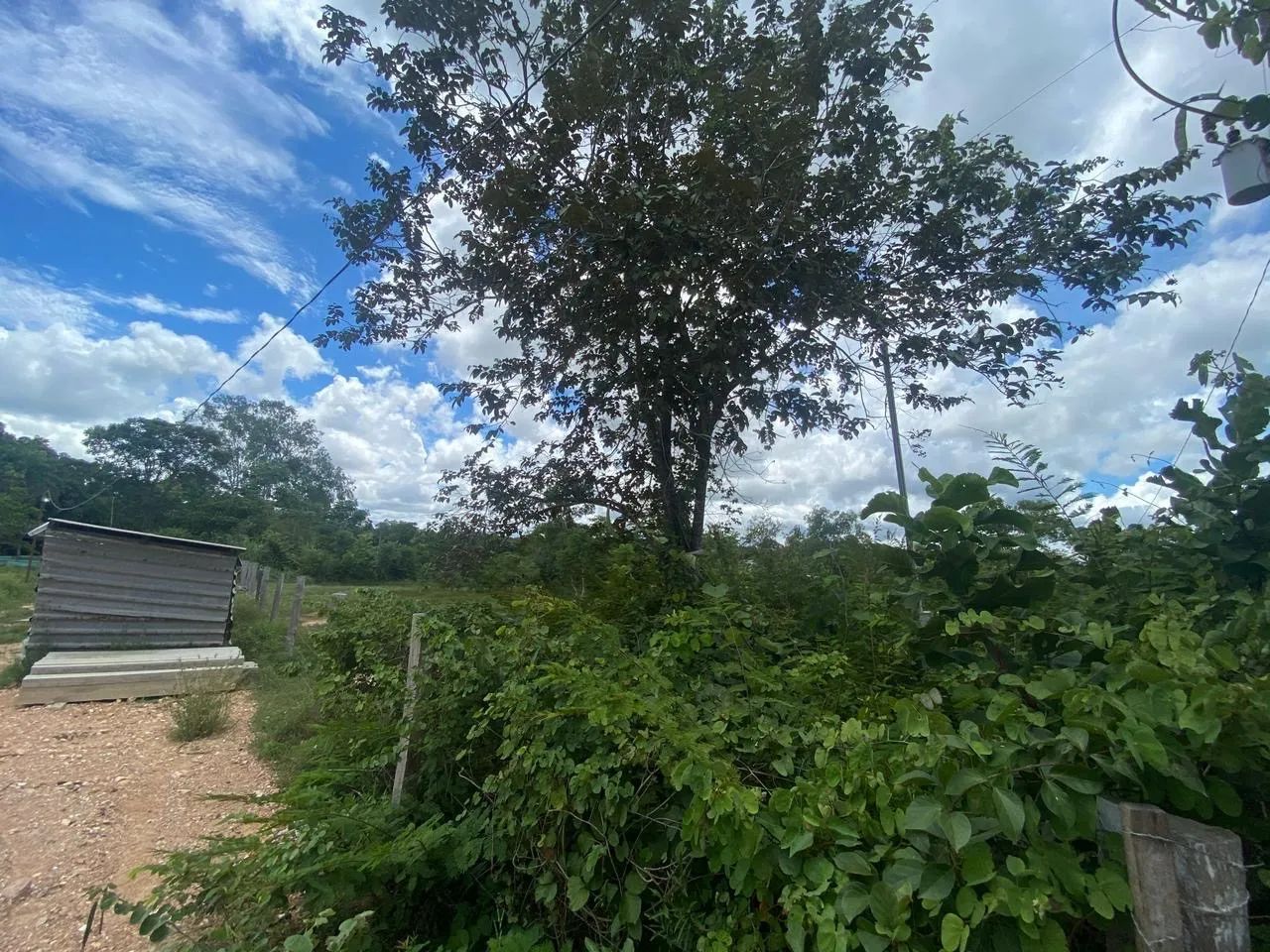 VENDE-SE CHÁCARA COXIPO DO OURO - Foto 5
