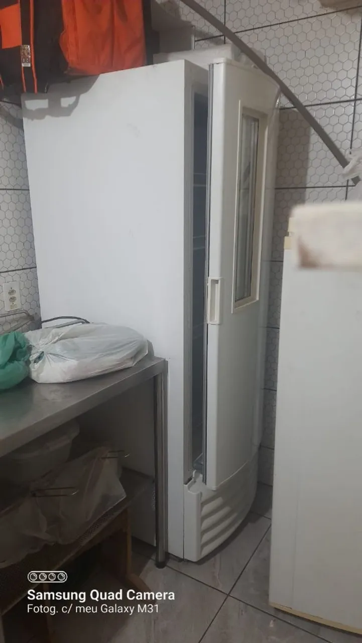 Freezer Vertical Metalfrio VF 55 537l