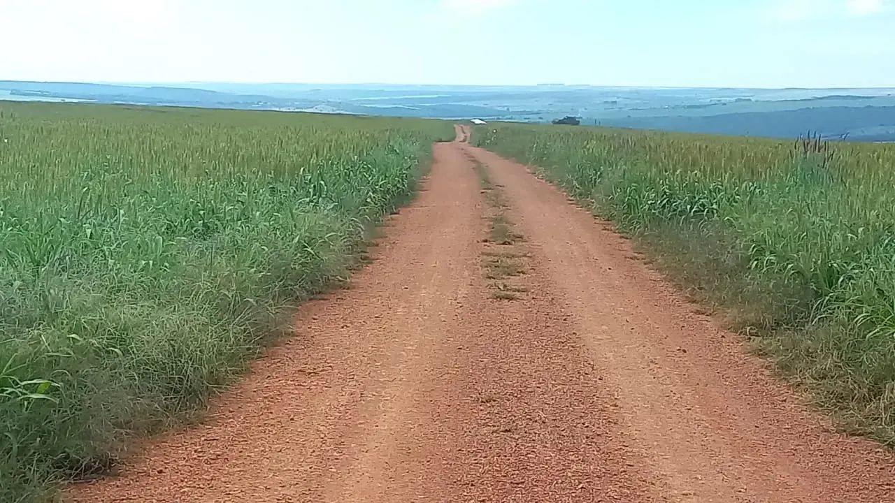 Fazenda a venda em Campo Alegre / Goiás!!! - Foto 5