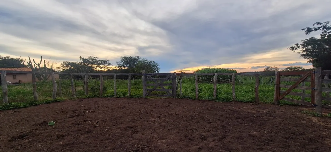 FAZENDA COM 1.000 H