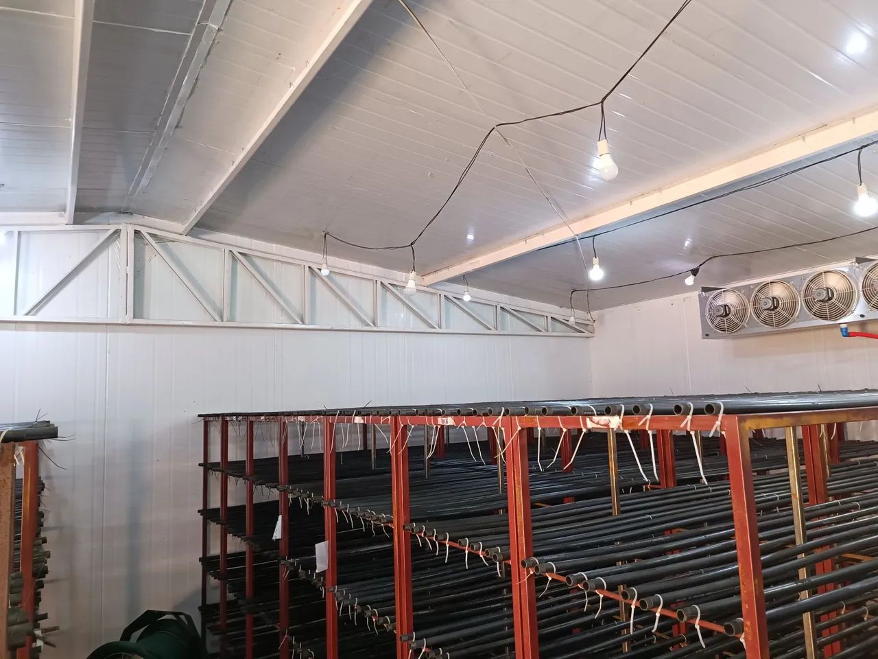 Galpão para produção controlada - Estava com Cogumelos  - Foto 4