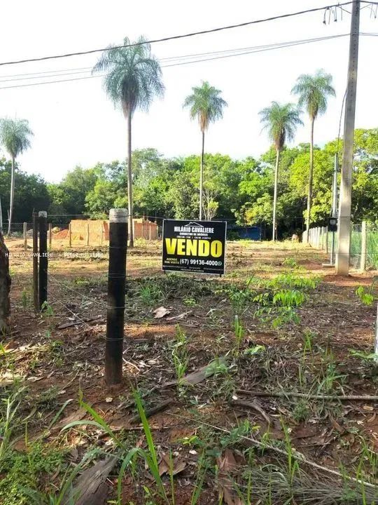 Pesqueiro para Venda em Aquidauana, Camisão - Foto 5