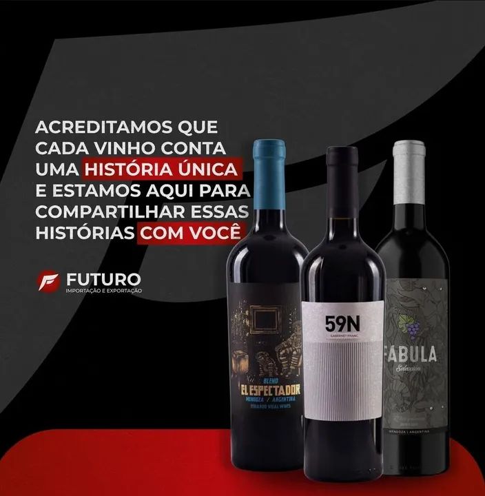 VINHOS TINTO ARGENTINOS  - Foto 3