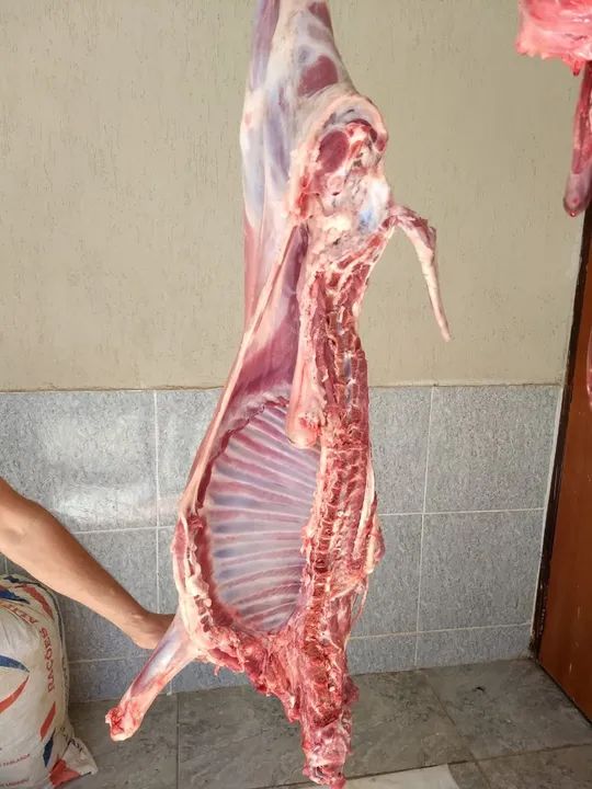 Carne de Cordeiro Fresca -  Corte Especial