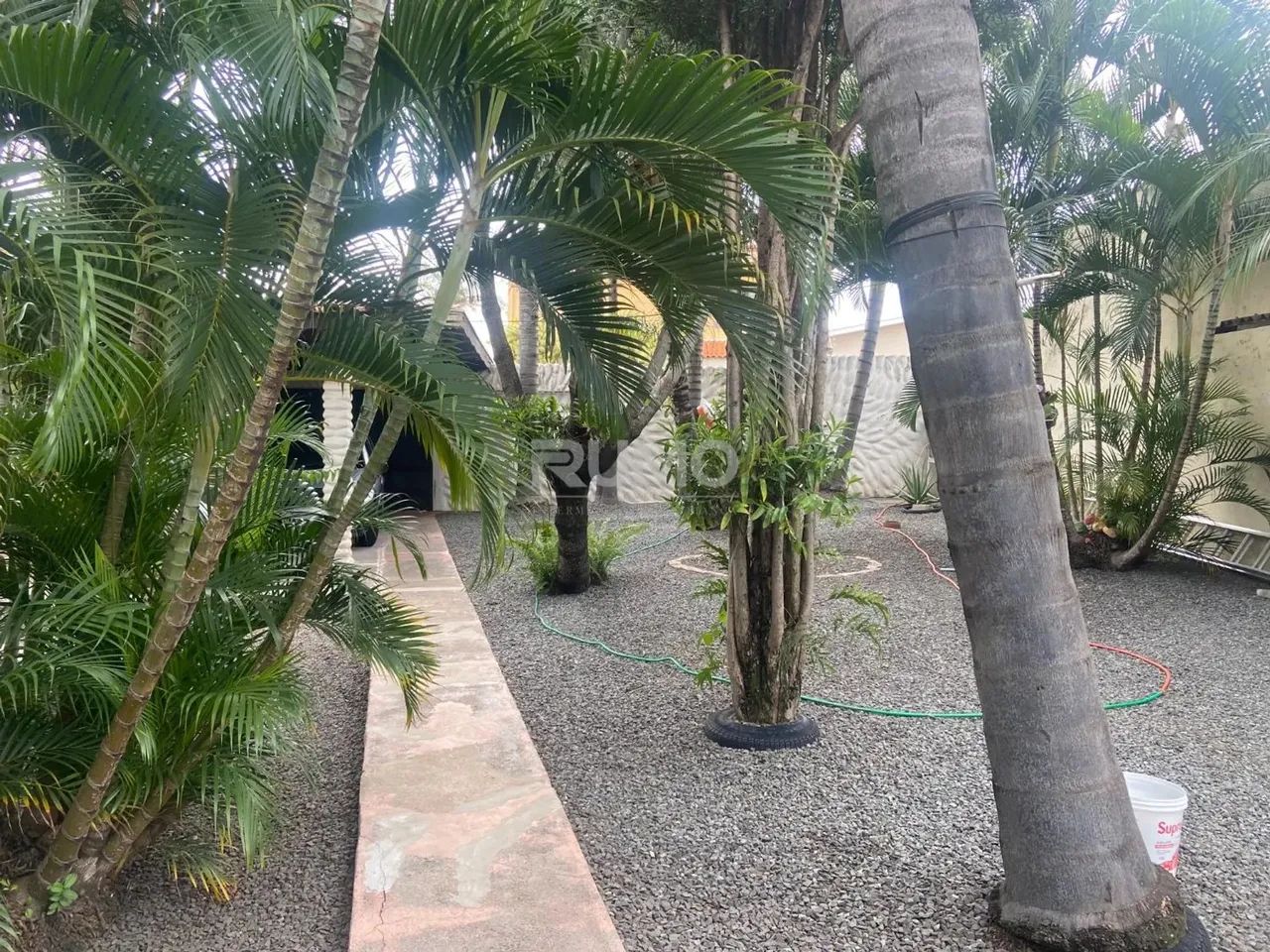 casa - Jardim Dom Nery - Campinas - Foto 5