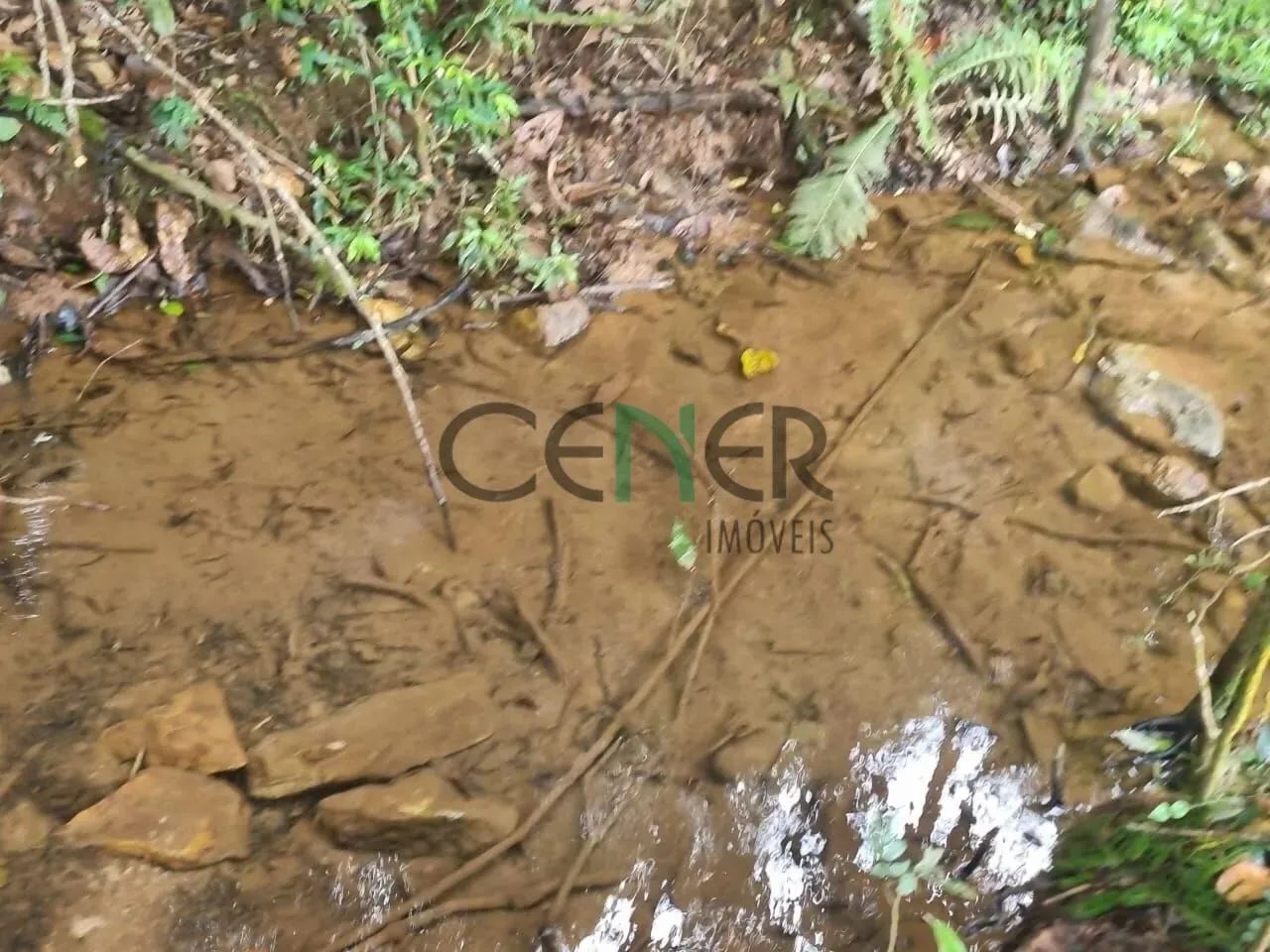 Ótimo sítio de 20 ha em Entre Rios de Minas MG - Foto 2