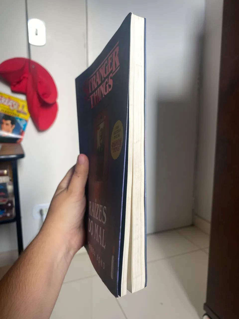 Livro Stranger things - Raízes do Mal - Foto 3