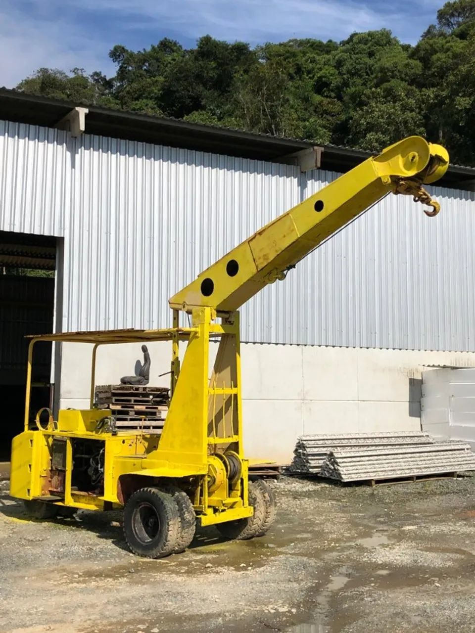 Guincho canarinho  - Foto 2