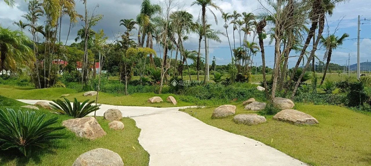 Terreno no Real Parque de 450m² - Foto 5