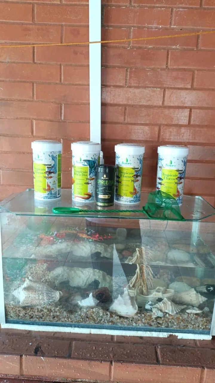 Aquário  - Foto 3