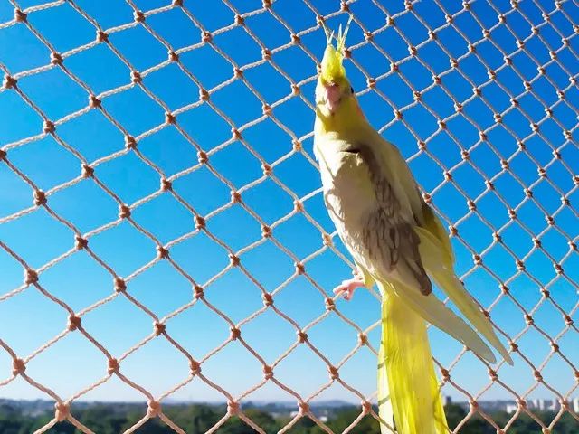 Redes de proteção em Sorocaba e Região - Foto 3