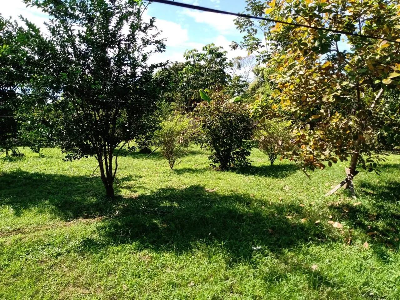 Vende-se chácara próxima ao Aeroporto  - Foto 4