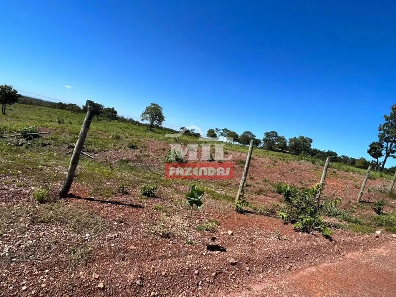 Fazenda 514 alqueires (2487 hectares) Almas - To - Foto 2