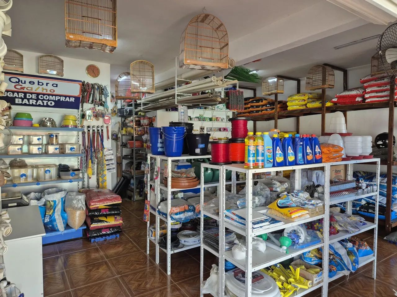 Loja de ração e materiais de construção  - Foto 5
