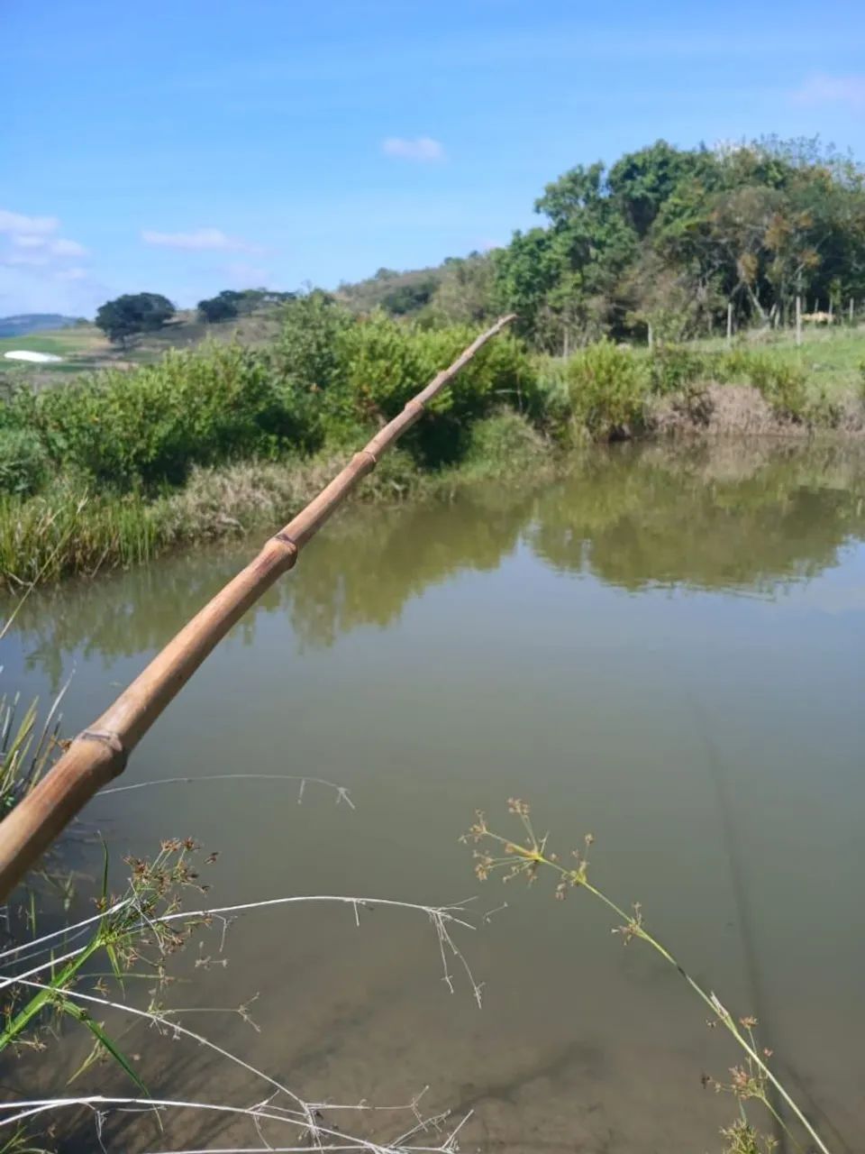 Vendo terreno em Oliveira/MG - Foto 3