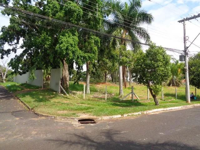 Terreno Padrão em Uberlândia - Foto 2