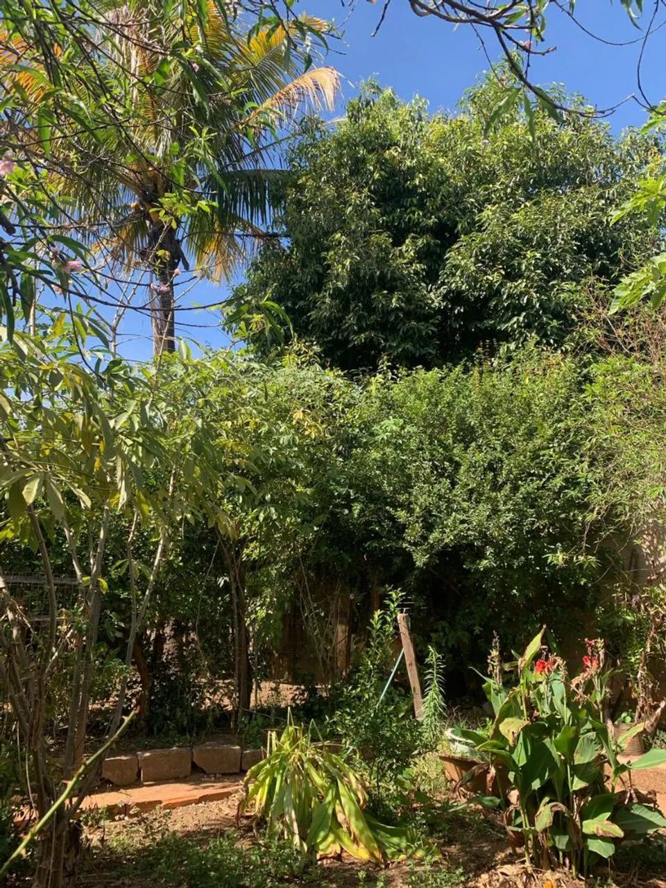 Casa Venda Rua São José  - Foto 2