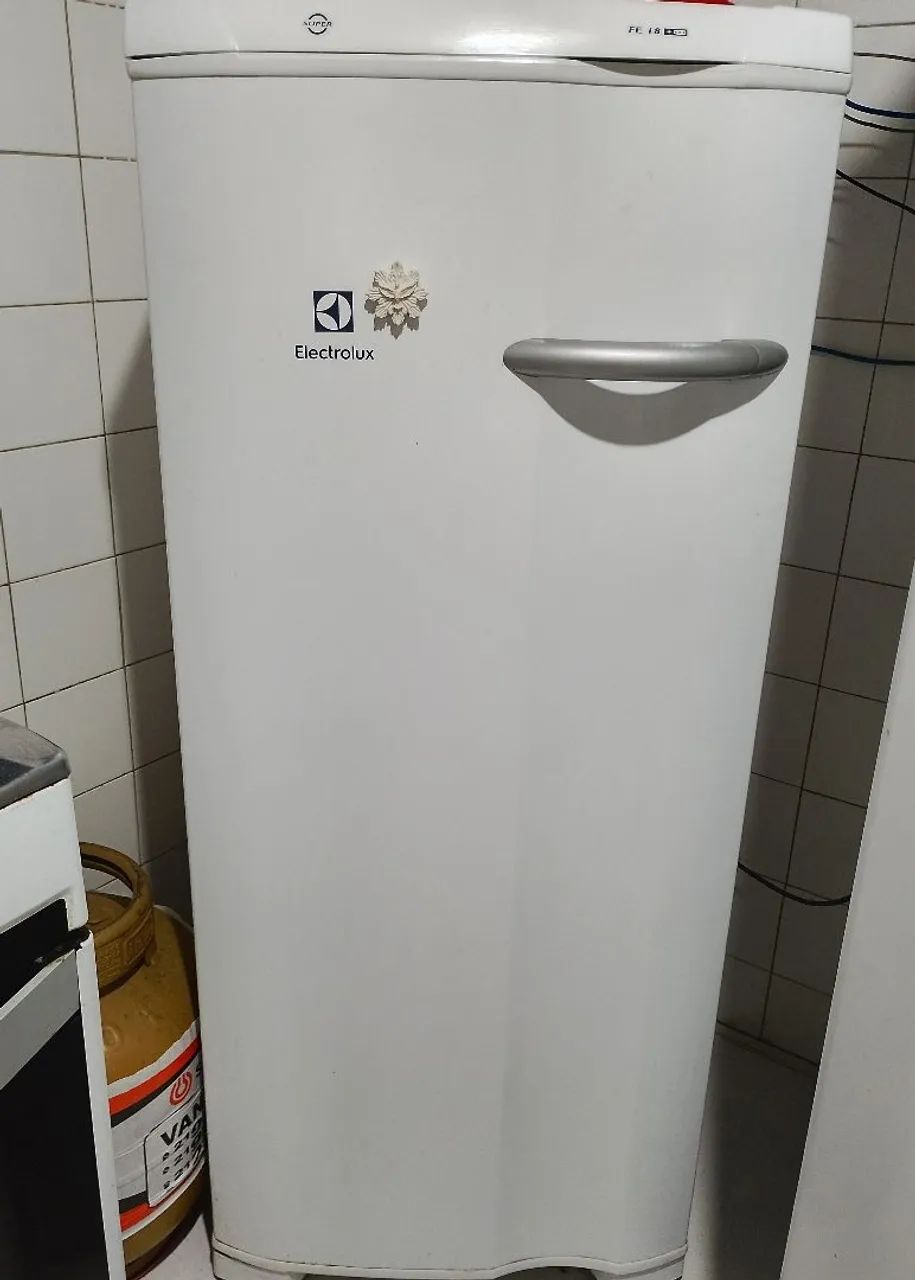 Freezer Eletrolux 