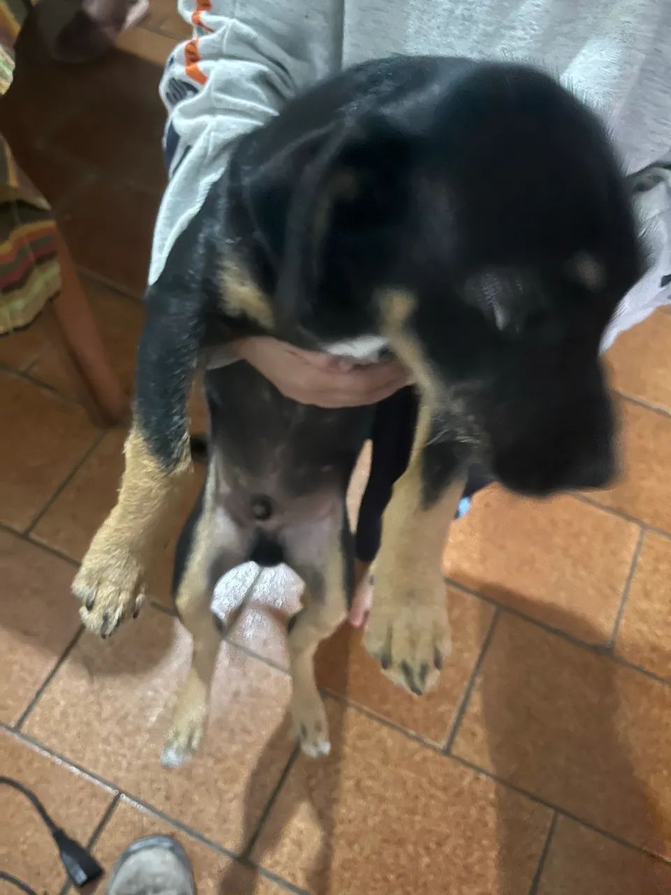 Doação - Foto 4