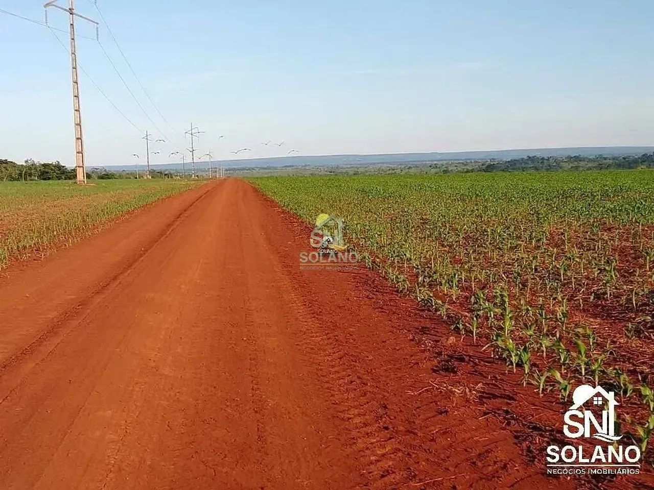 FAZENDA EM TANGARÁ DA SERRA MT - Foto 5