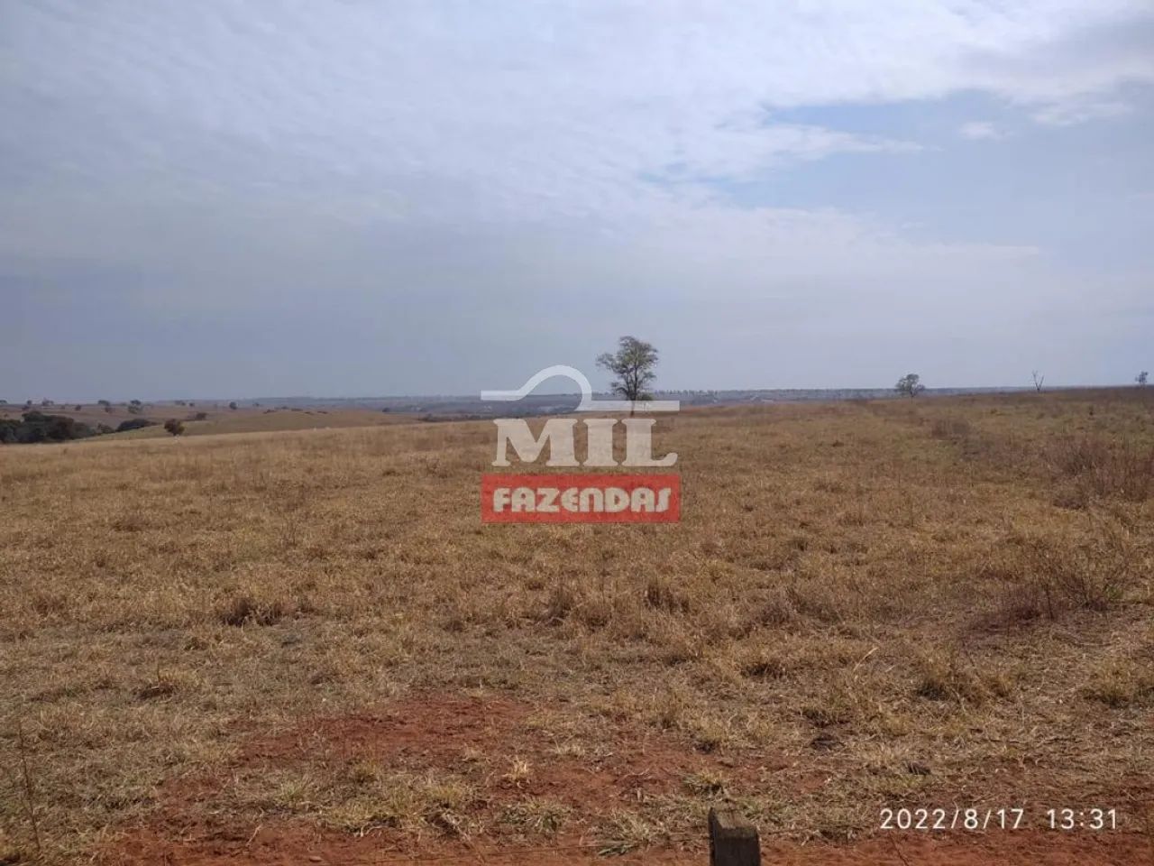 Fazenda em Santa Vitória - MG - 2.720 Há