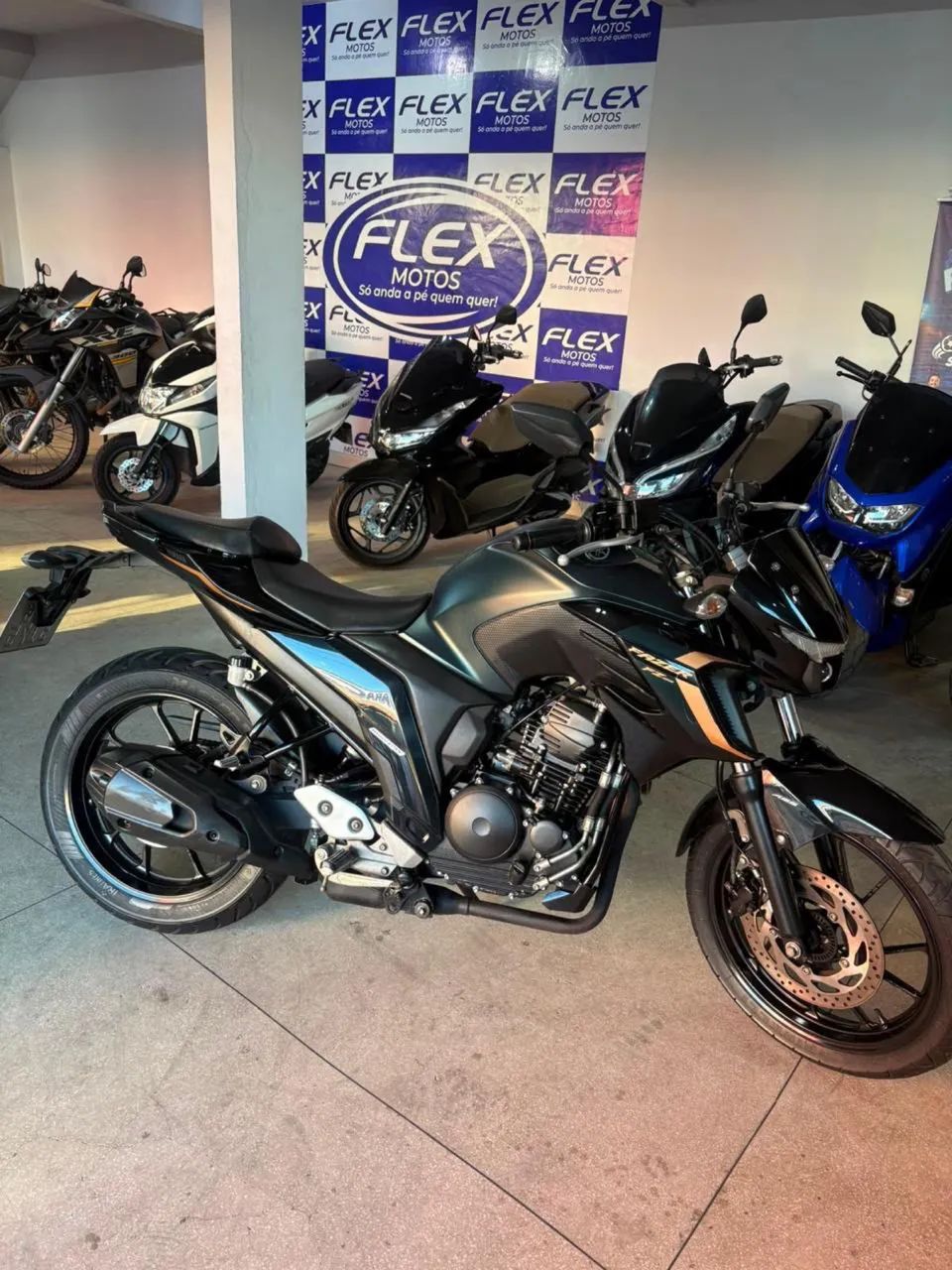 FAZER 250 2024