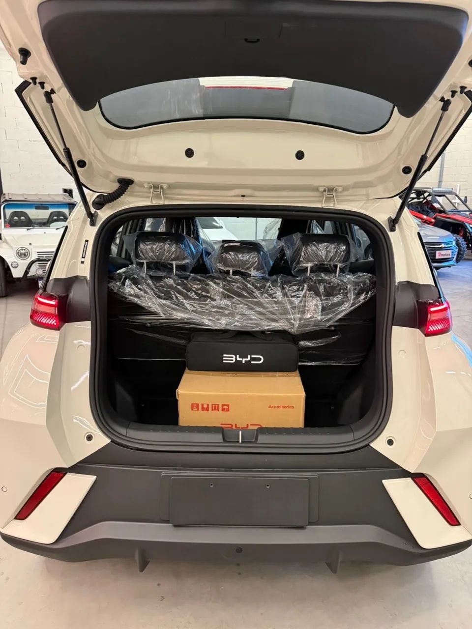 BYD Dolphin Mini (Elétrico) 2027 - Foto 4