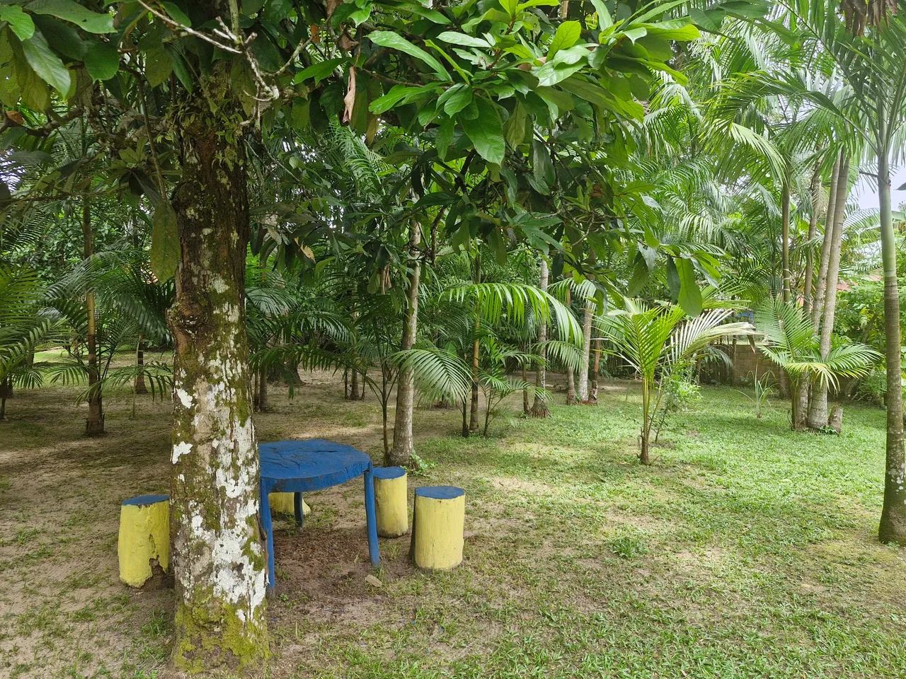 Lindo Sítio em colares - Foto 4