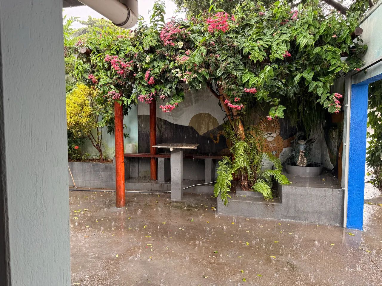 Lote com casa e área de lazer  - Foto 5