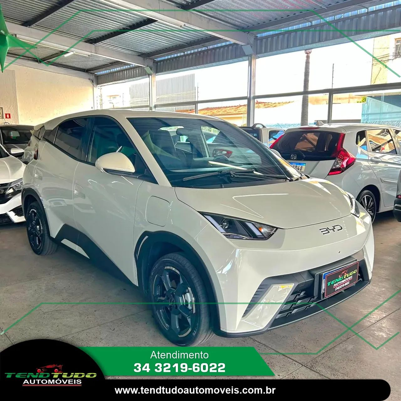 BYD Dolphin Mini (Elétrico) 2025 - Foto 2