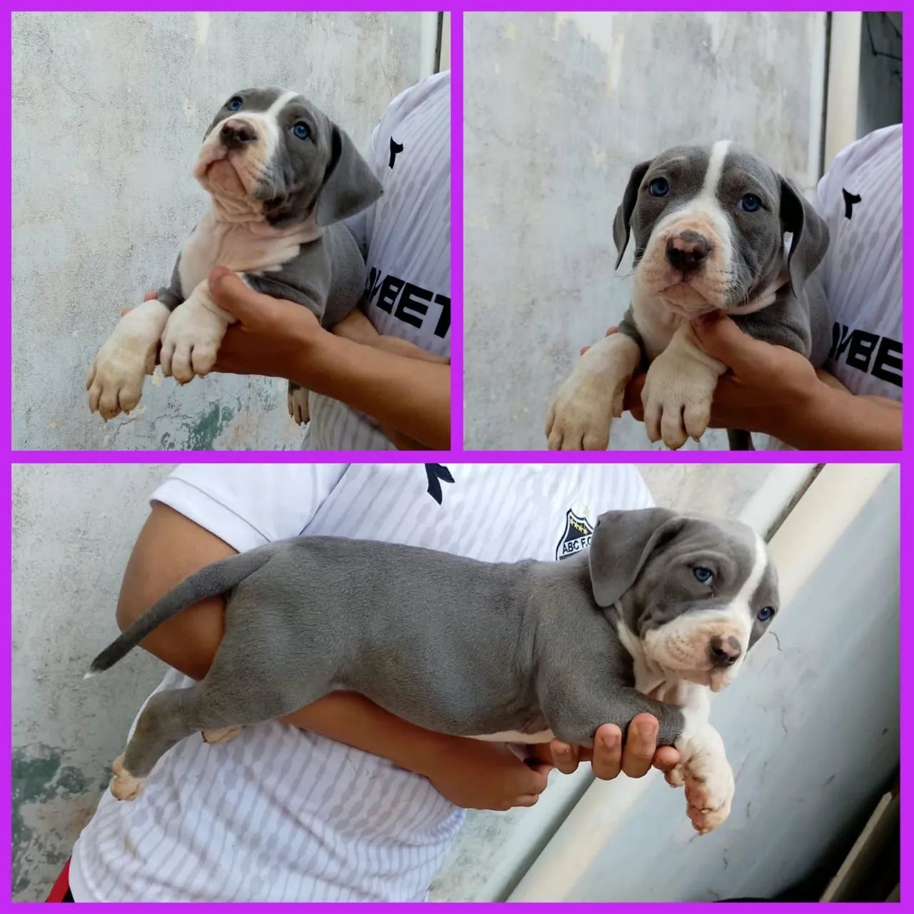 Pit Monsters  - Foto 3