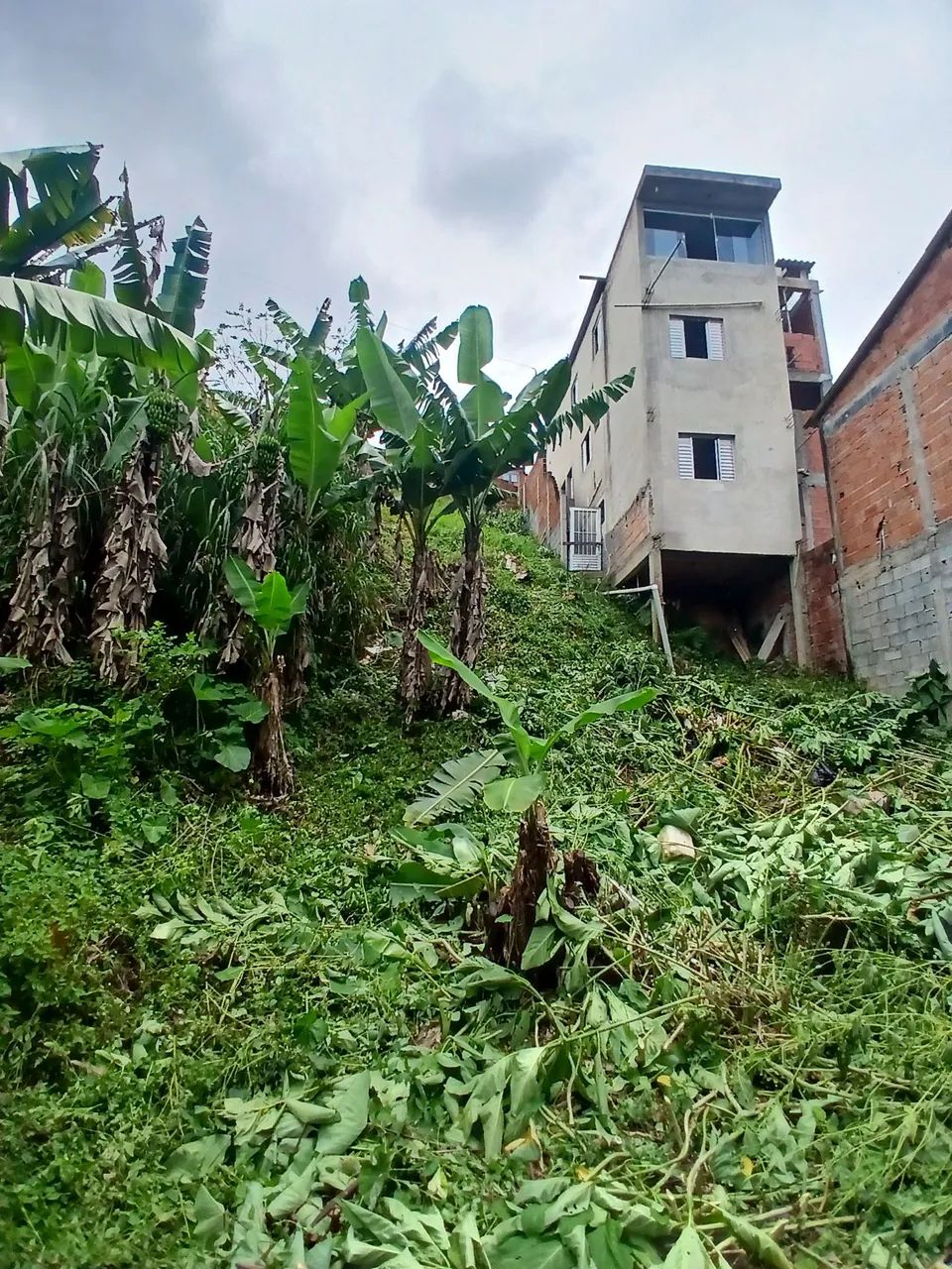 Foto - Cotia - Chácara Santa Maria