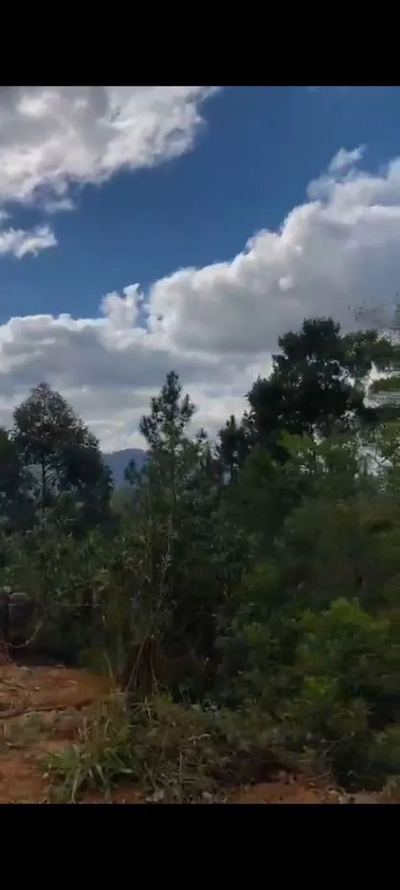 TERRENO À VENDA 38.231,20 m² Riacho - Imaruí - Foto 5