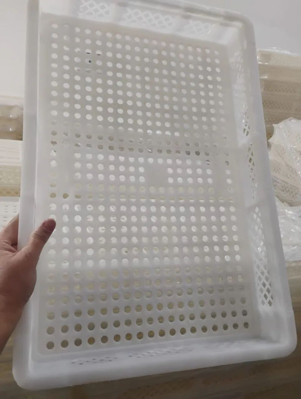Caixas para congelados - Foto 4