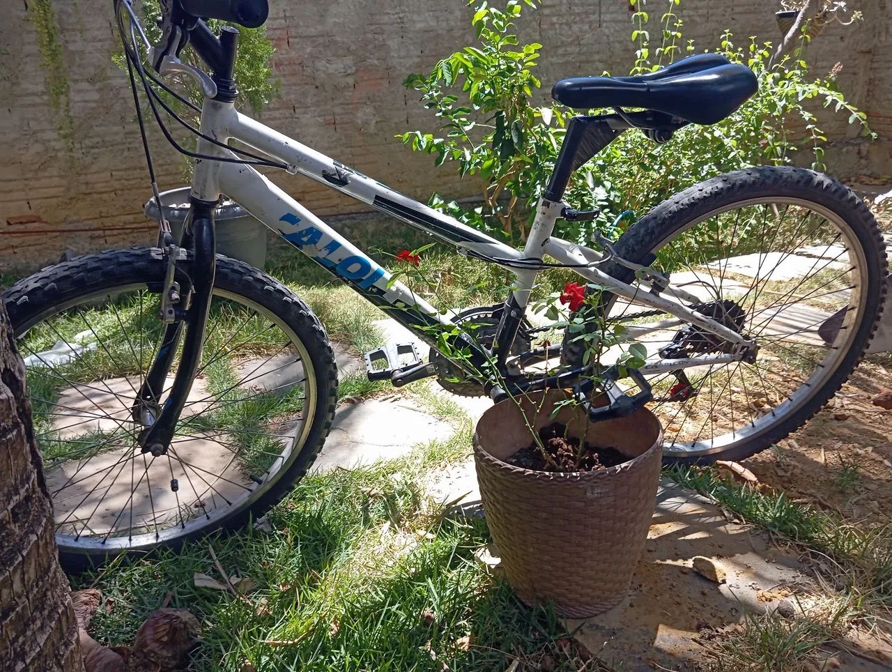 Bike aro 24  - Foto 3
