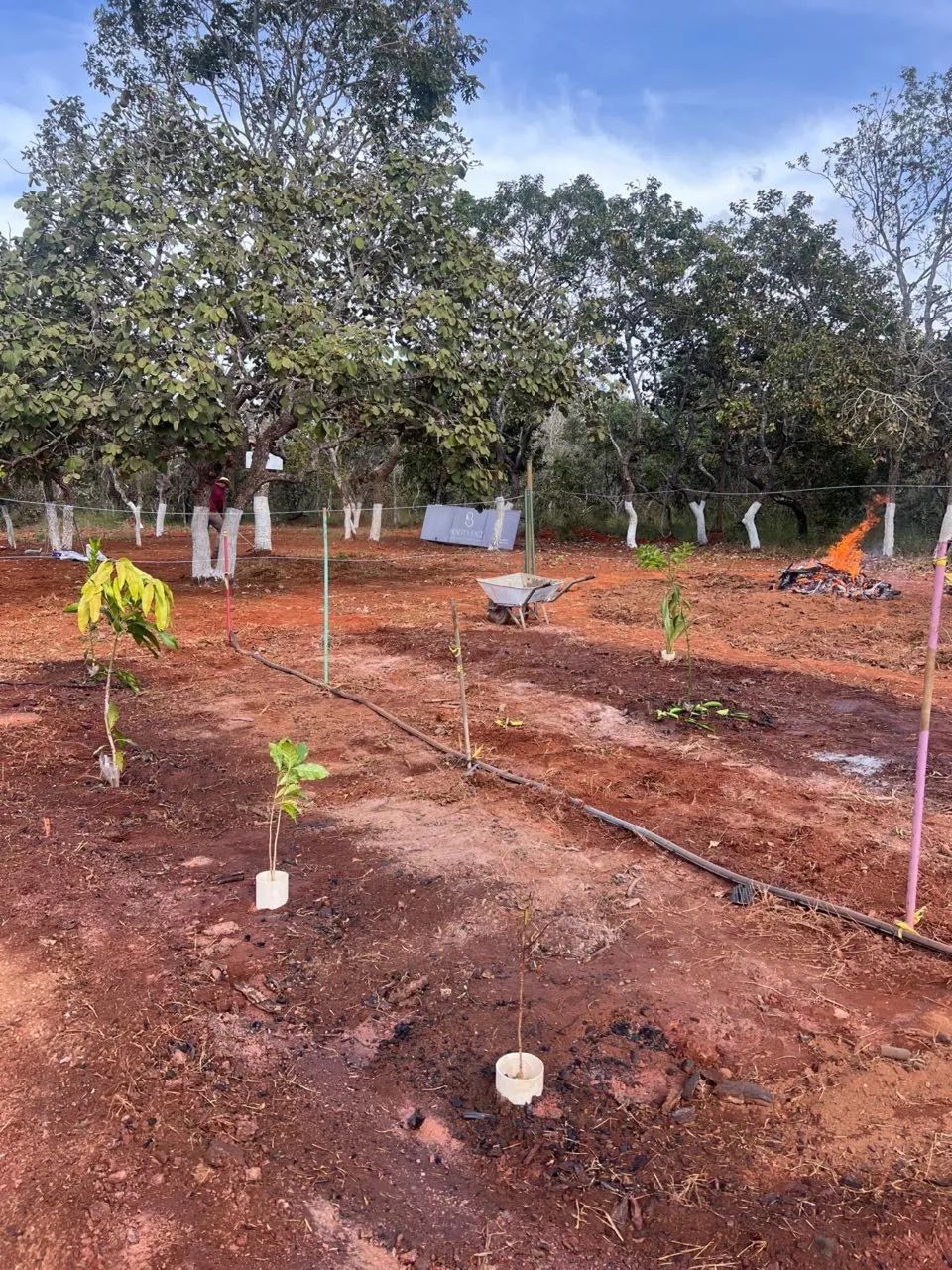 Ágio Chácara Aragoi ânia - Foto 2