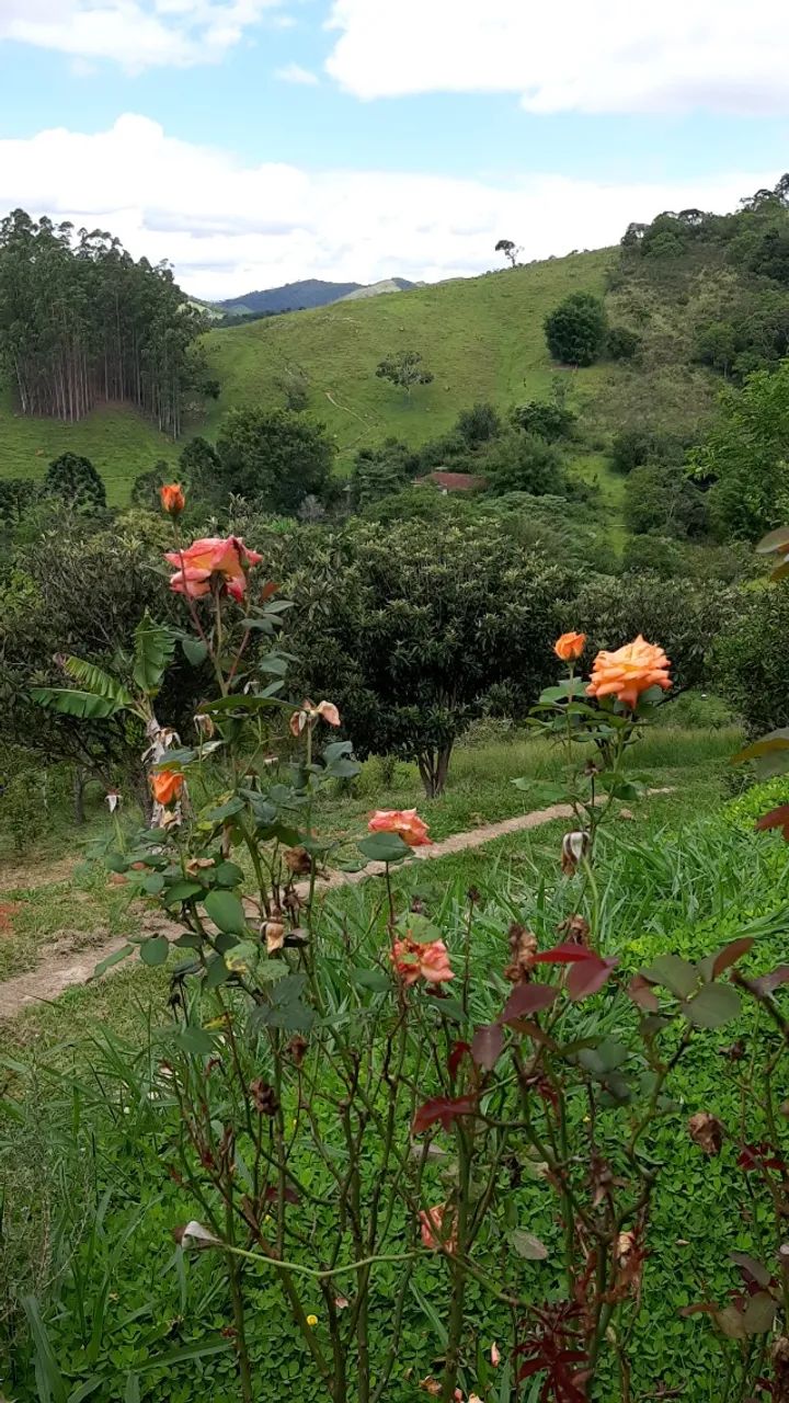 Foto - São Luiz do Paraitinga - 