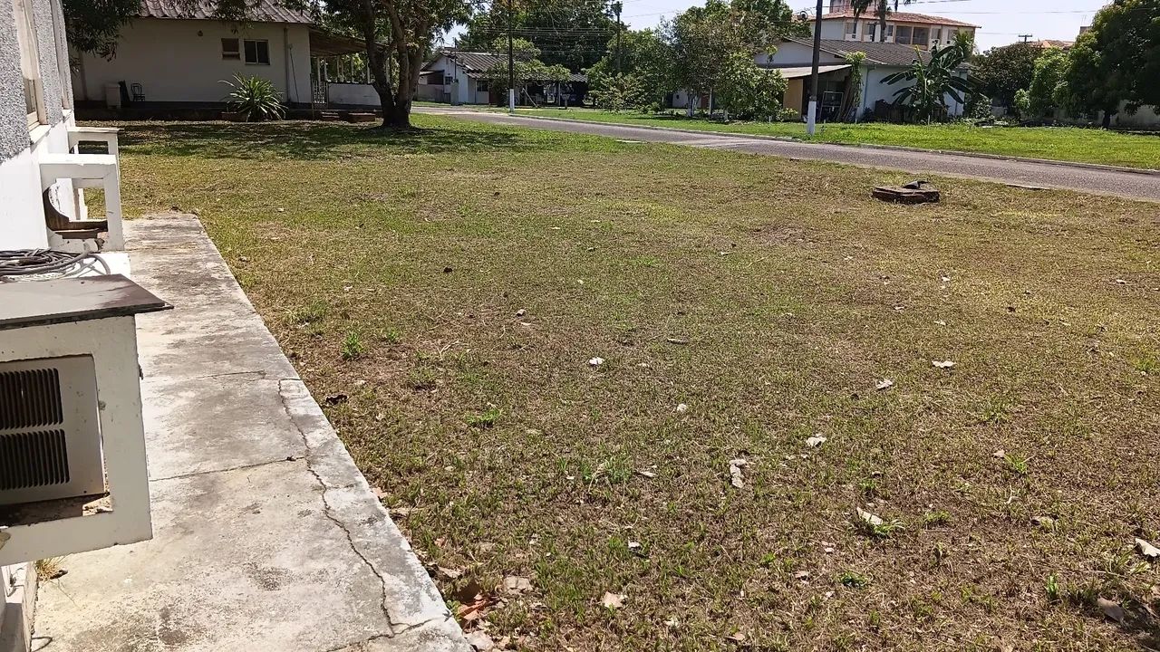 Servicos de poda e Jardinagem em geral  - Foto 2