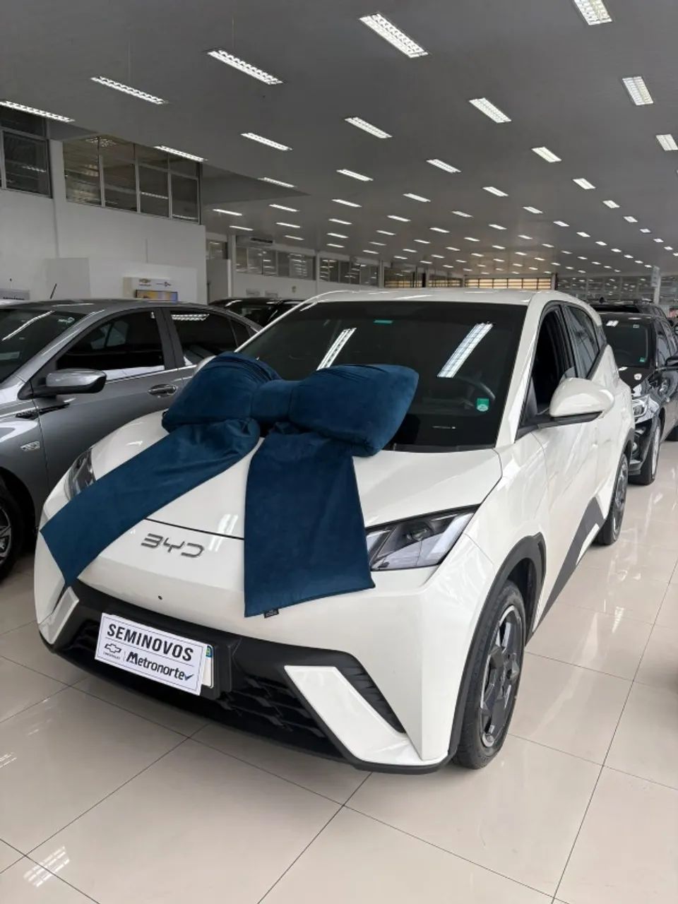 BYD Dolphin Mini (Elétrico) 2025