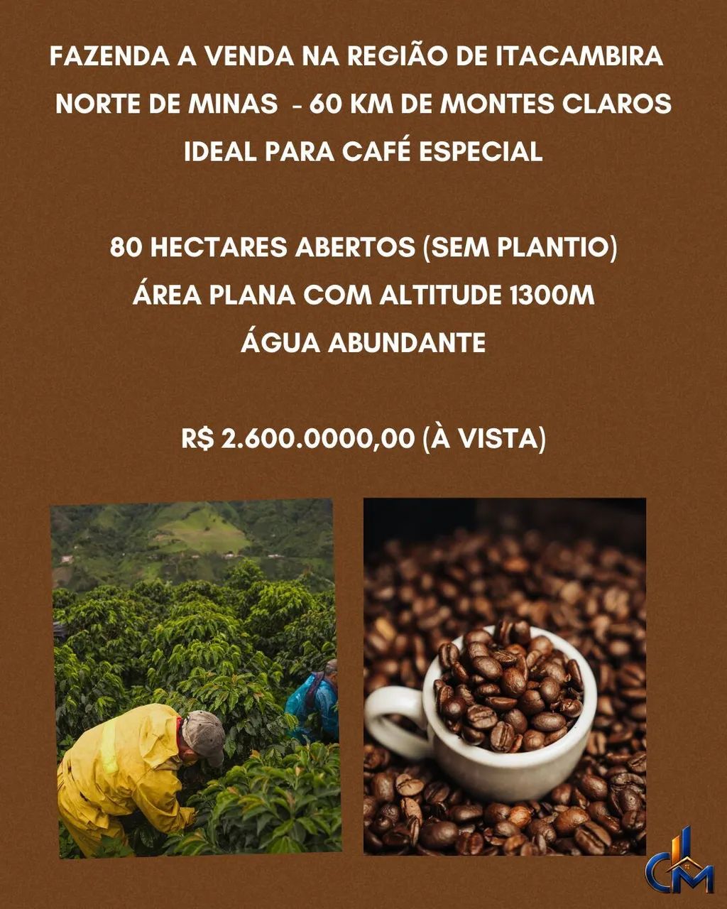 Fazenda ideal para café
