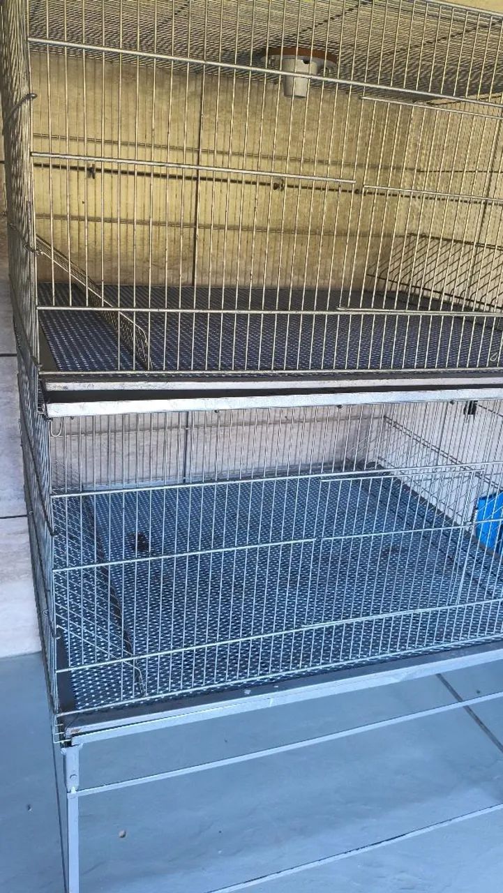 Gaiola pinteiro  - Foto 2