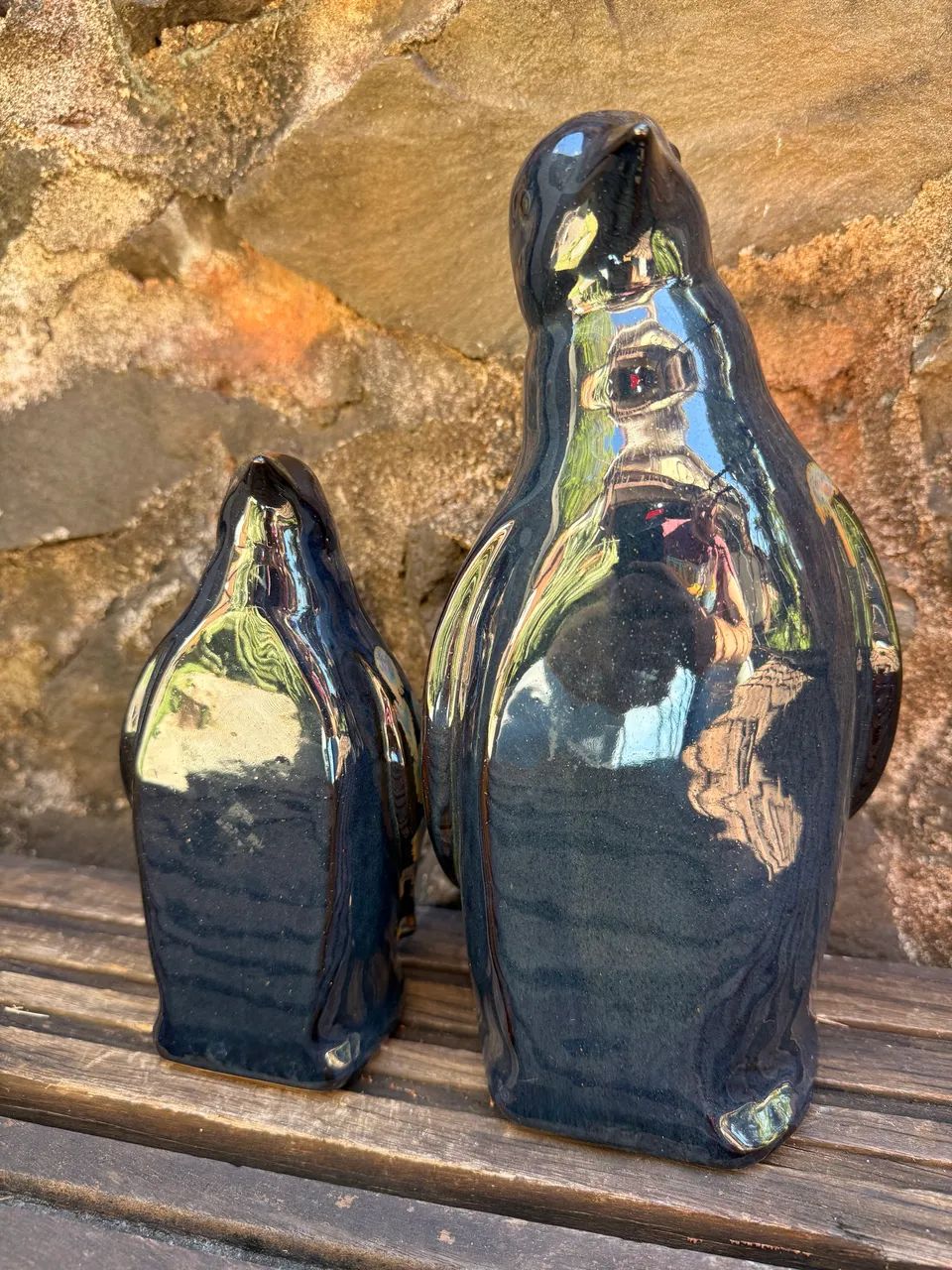Par pinguim azul  - Foto 4