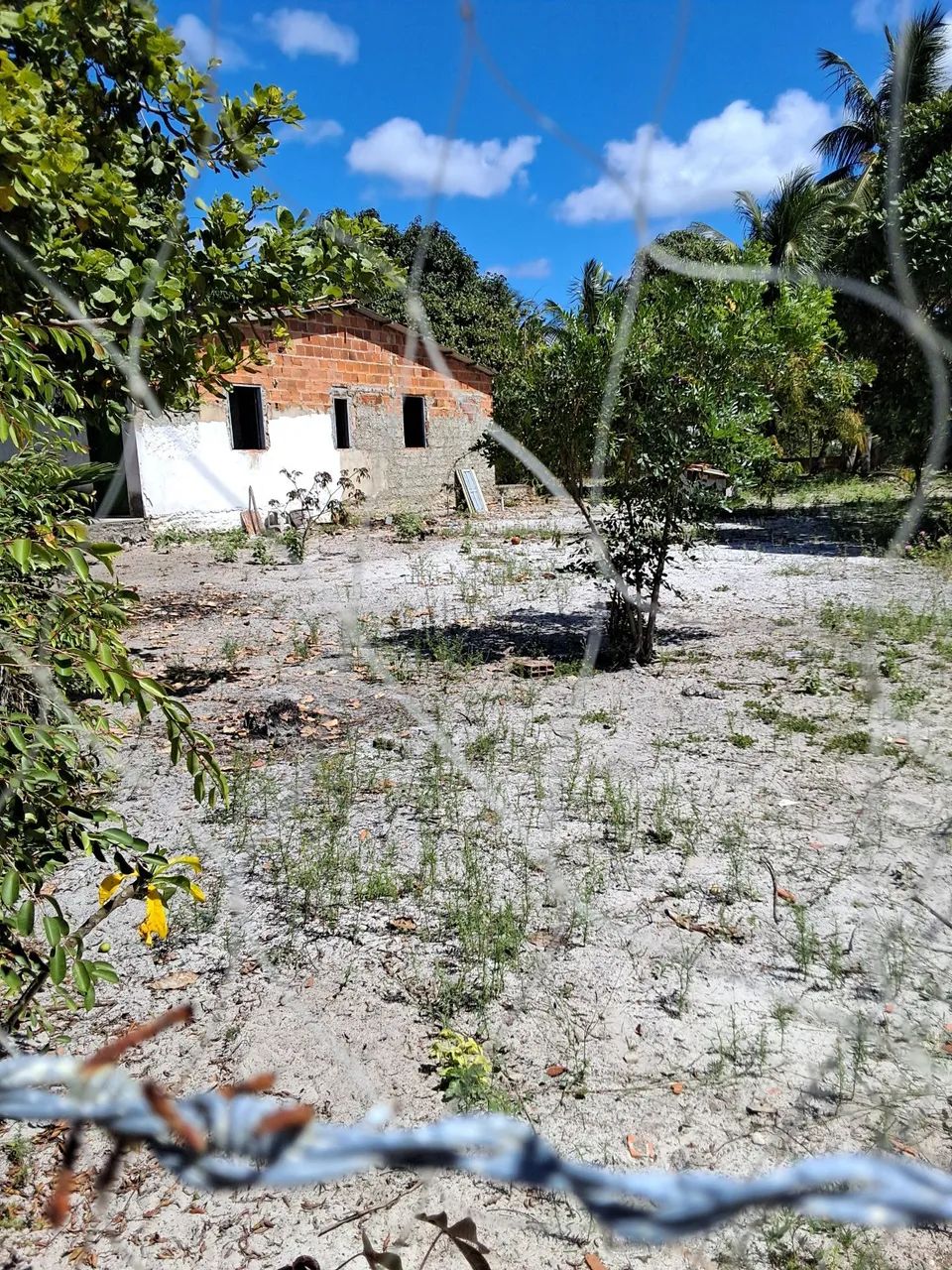 Vendo chacara no agelin - Foto 4