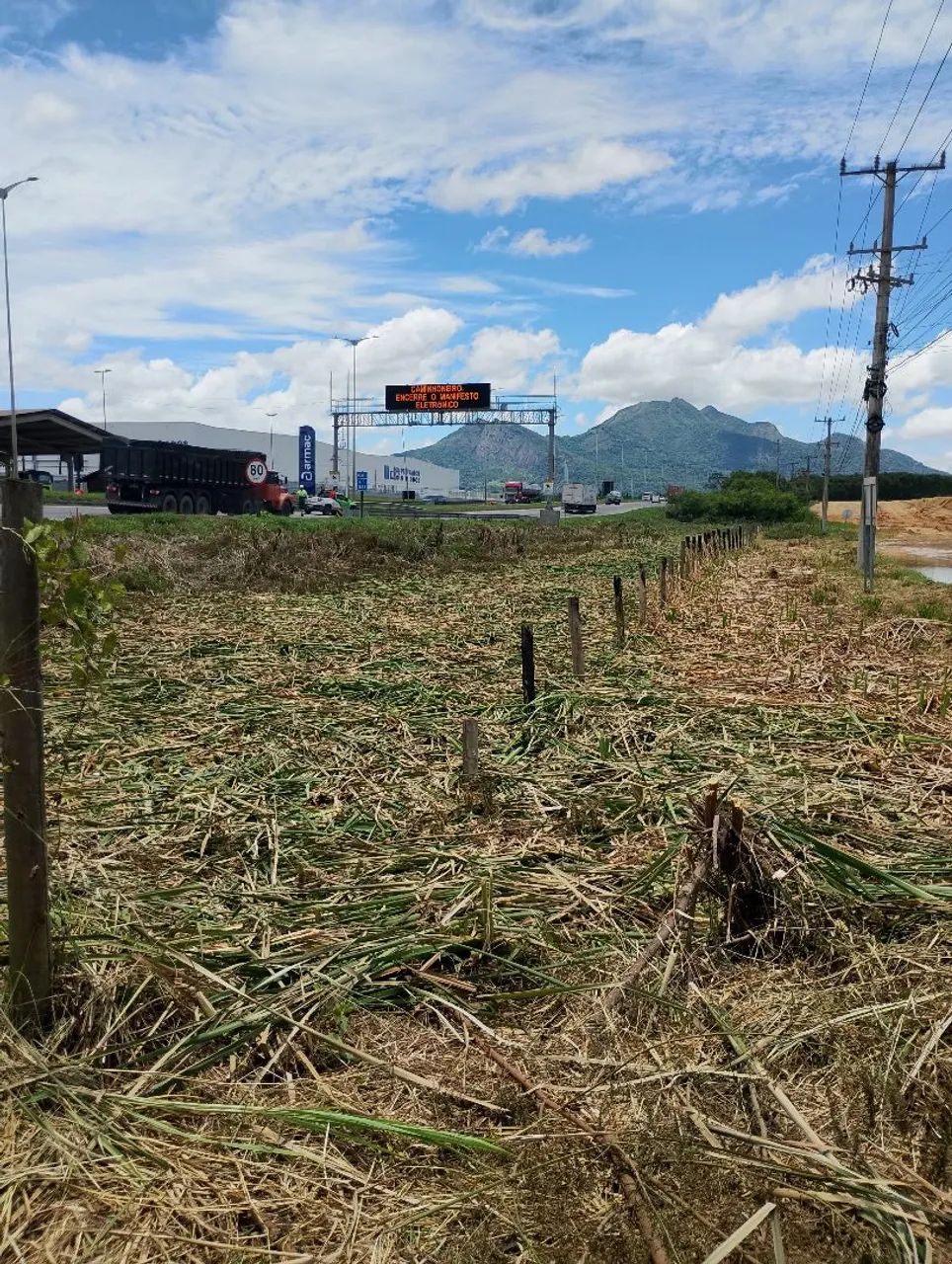 Jardinagem  - Foto 4