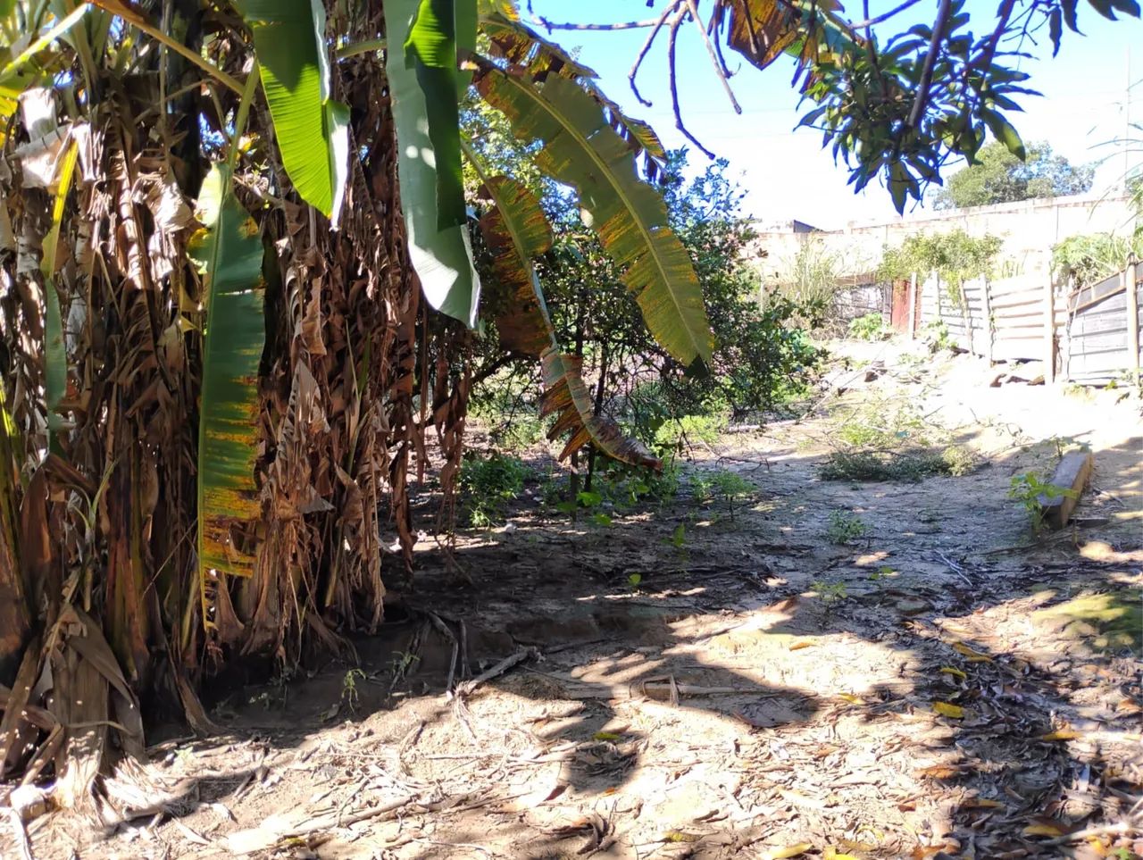 Lote - Foto 2